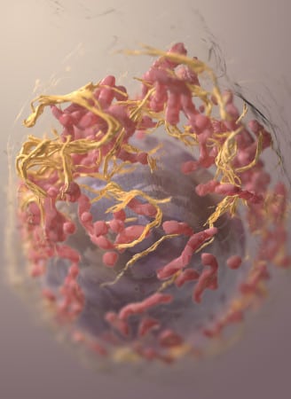 Cancer Research UK / Wikimedia Commons